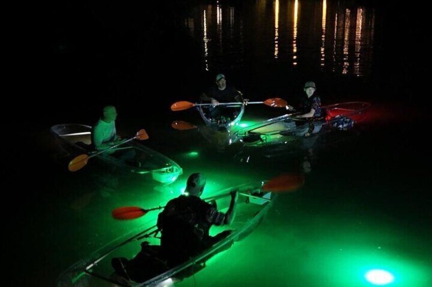 Sharkey's Clear Kayak Fish Feeding LED Night Tours Palm Harbor