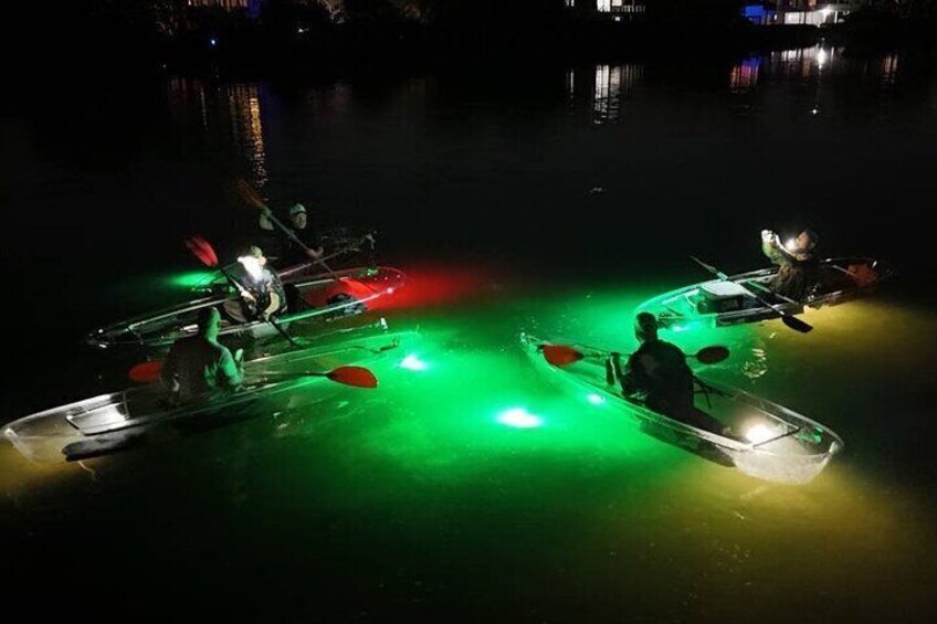 Sharkey's Clear Kayak Fish Feeding LED Night Tours Palm Harbor