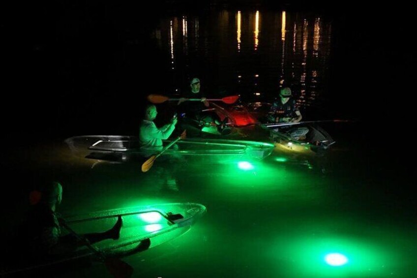 Sharkey's Clear Kayak Fish Feeding LED Night Tours Palm Harbor