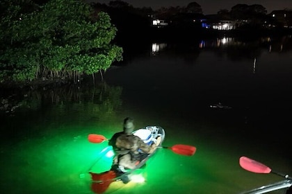 Sharkey's Clear Kayak Fish Feeding LED Night Tours Palm Harbour