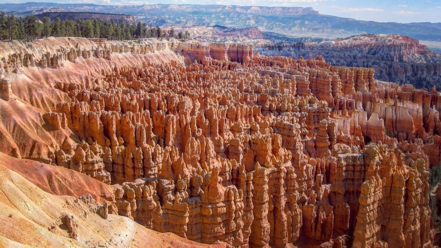 1-Day Las Vegas Gold Tour to Zion National Park+Bryce Canyon National Park