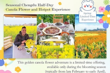 Seasonal Chengdu Half-Day Canola Flower and Hotpot Experience