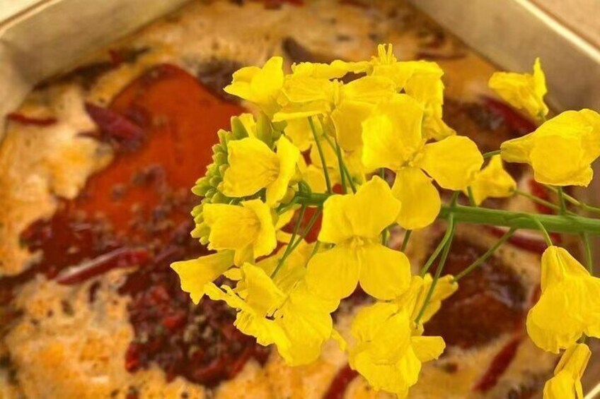 Seasonal Chengdu Half-Day Canola Flower and Hotpot Experience