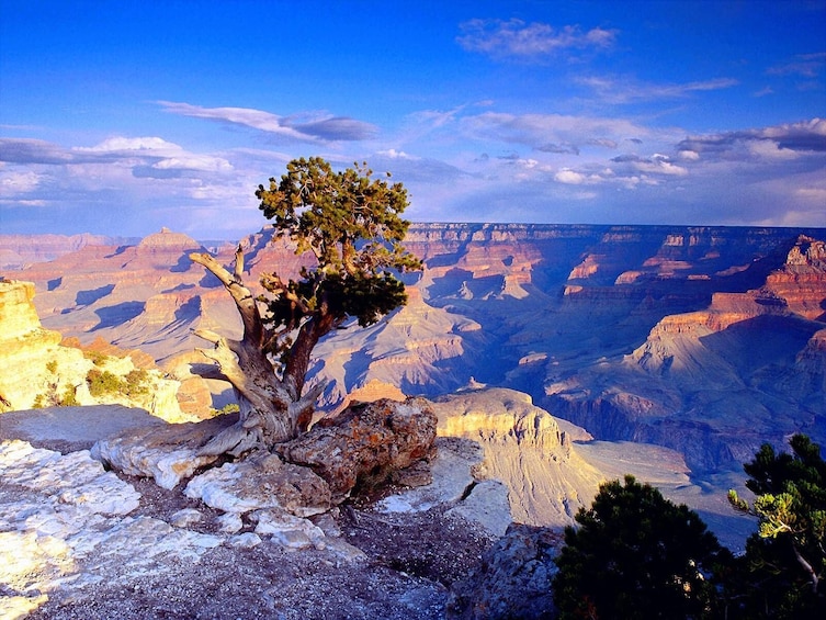 1-Day Las Vegas [Silver] Tour to Grand Canyon National Park West Rim Tour
