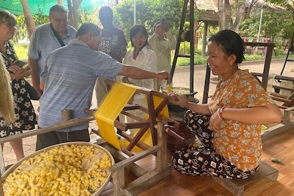 Silk Mekong Island Haft Tagestour