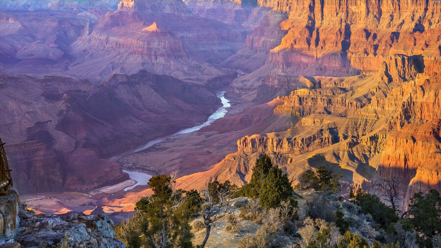 BEST Grand Canyon National Park South Rim Day Trip from Las Vegas