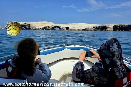 Paracas: Ballestas Islands tour all Inclusive