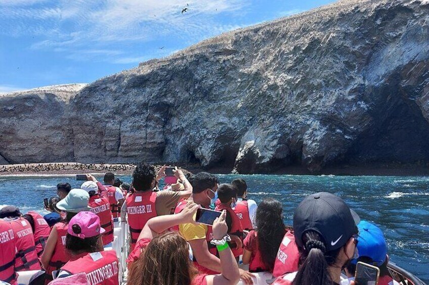 Paracas: Ballestas Islands tour all Inclusive