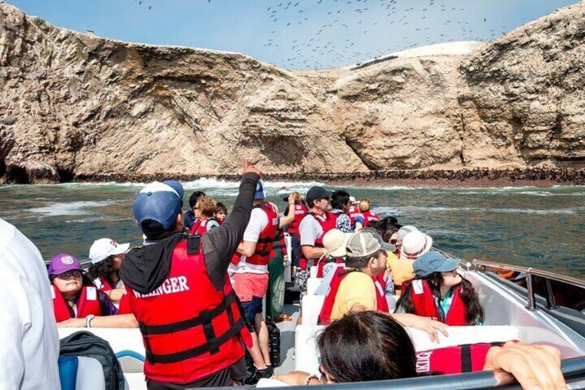 Paracas: Ballestas Islands tour all Inclusive