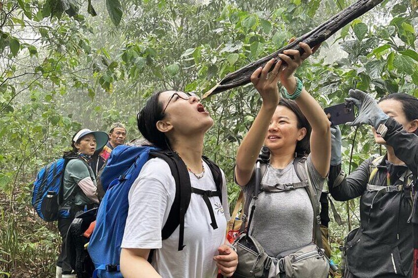 2 Days Multi Adventure in Nam Ha NPA: Trek and Kayak