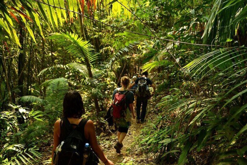 2 Days Multi Adventure in Nam Ha NPA: Trek and Kayak