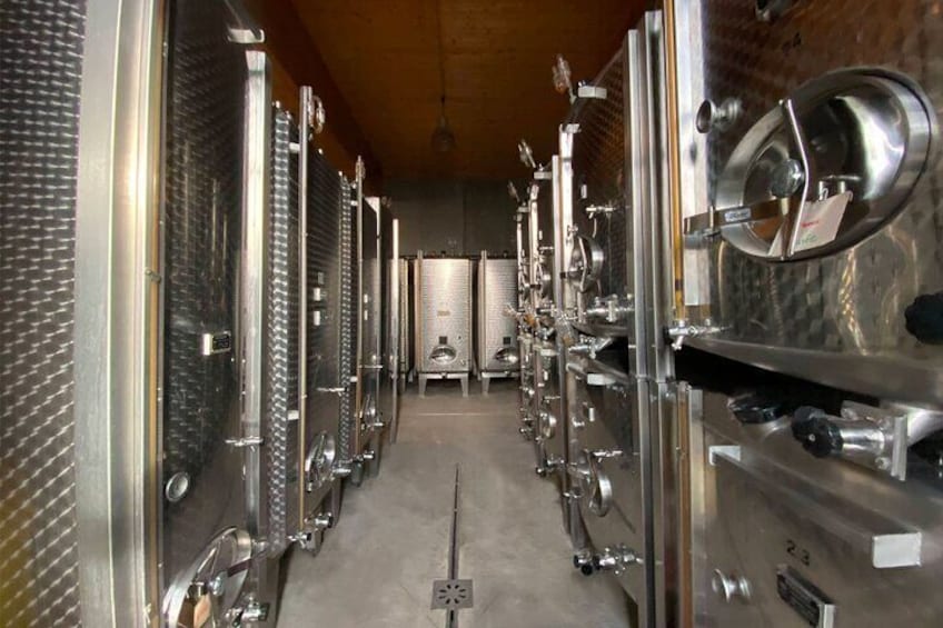 Wine cellar visit and feminine tasting - gourmet formula