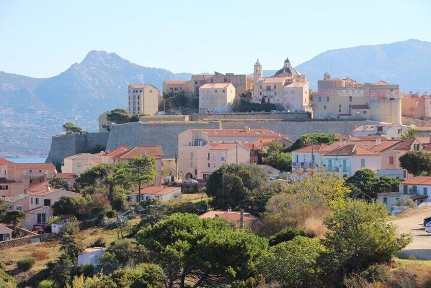 Half Day in Calvi Between Medieval Town and Marina