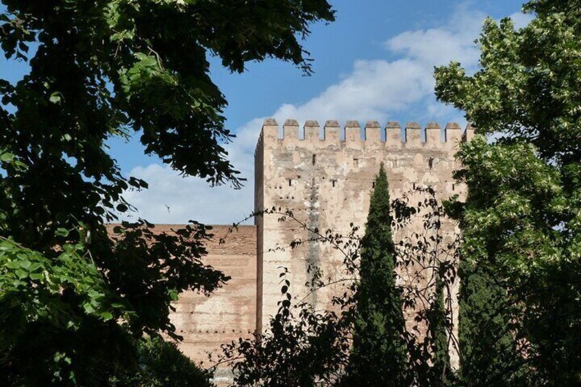 Wall of the Alhambra