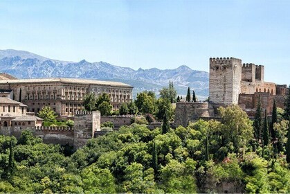 Granada Alhambra and Nasrid Palaces Tour from Malaga