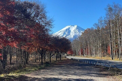 Private Tour in Mount Fuji