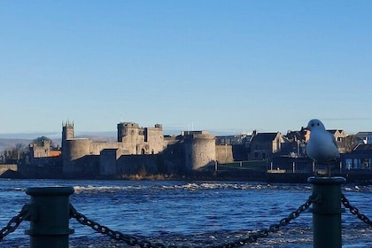 Bunratty Limerick and Cliffs of Moher Private Tour from Galway