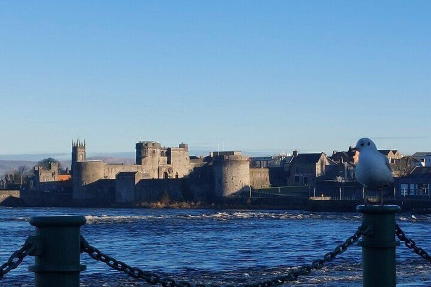 Bunratty Limerick and Cliffs of Moher Private Tour from Galway