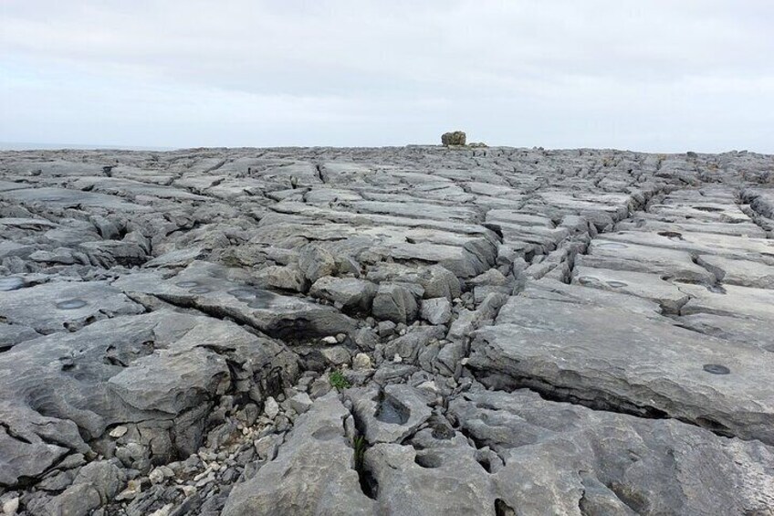 Bunratty Limerick and Cliffs of Moher Private Tour from Galway