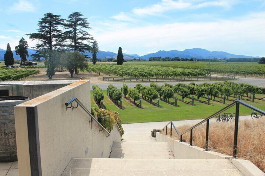 Picton & Blenheim Scenic Tour
