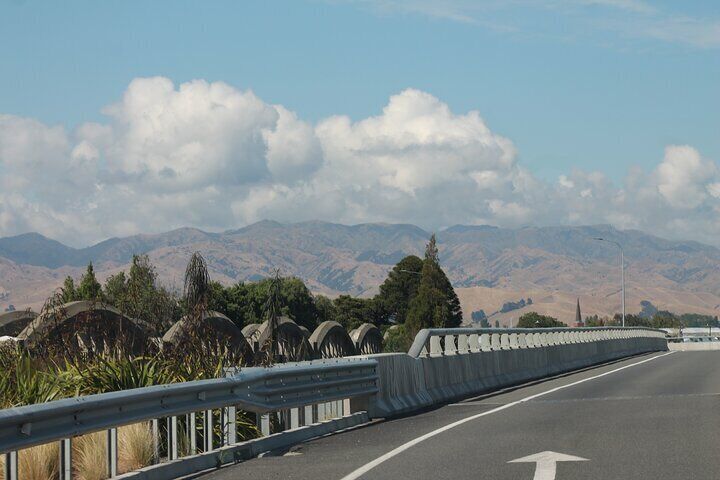 Picton & Blenheim Scenic Tour