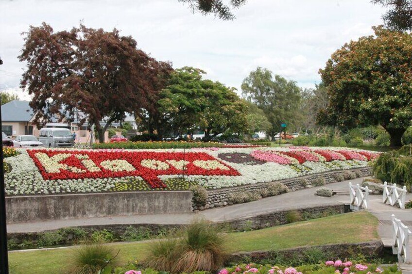 Picton & Blenheim Scenic Tour