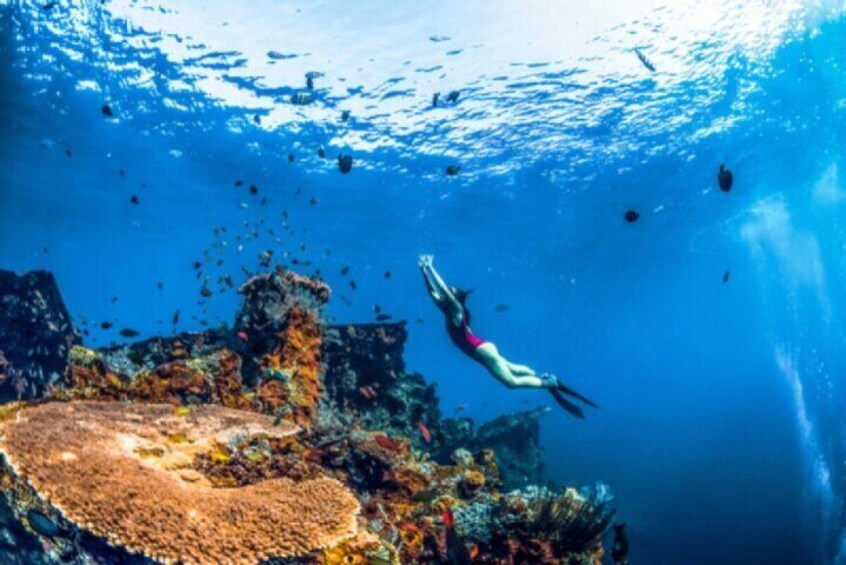 Explore Bali’s Amed Reefs Fully Inclusive Snorkeling Day Tour