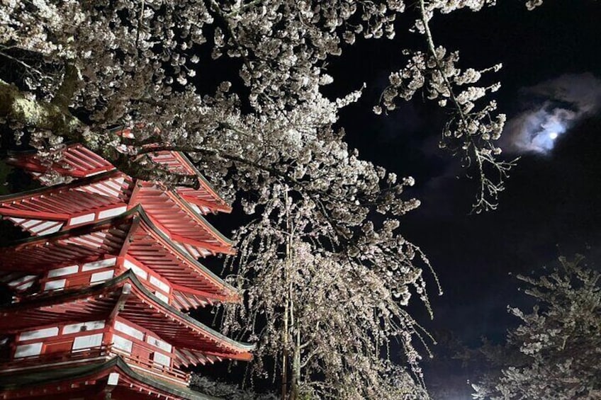 Private Night walk Tour at the foot of Mt. Fuji