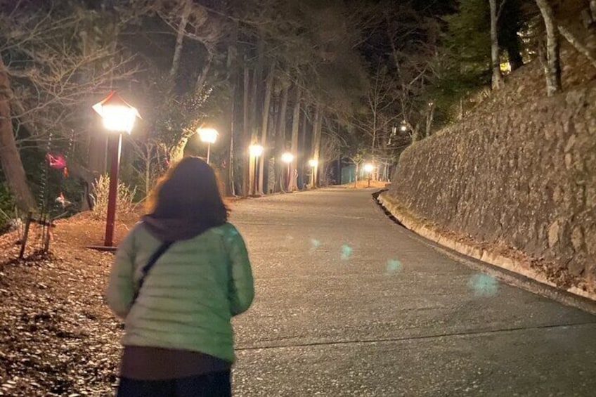 Private Night walk Tour at the foot of Mt. Fuji