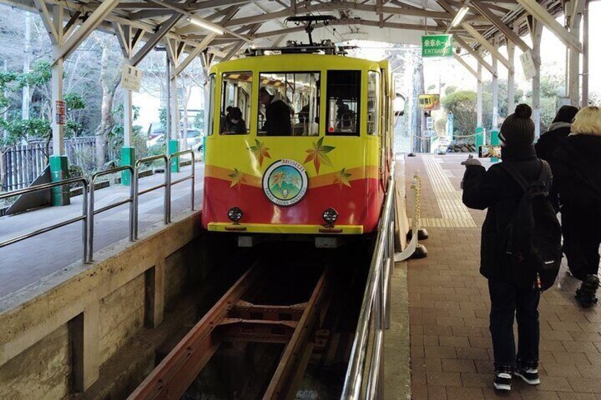 A Scenic Private Tour in Mount Takao Tokyo