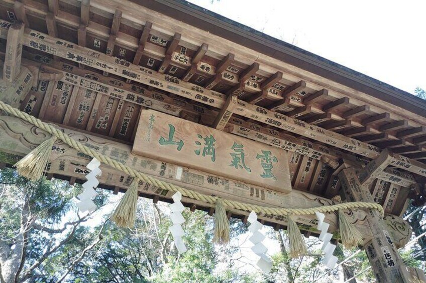 A Scenic Private Tour in Mount Takao Tokyo