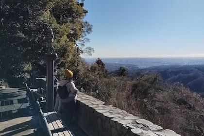 A Scenic Private Tour in Mount Takao Tokyo