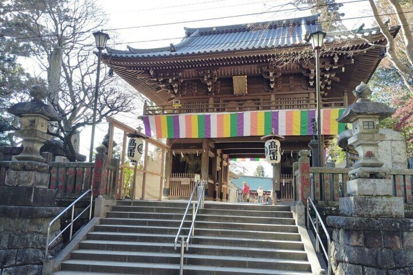 A Scenic Private Tour in Mount Takao Tokyo