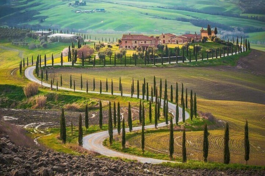 Montepulciano noble wines tour in Tuscany from Rome