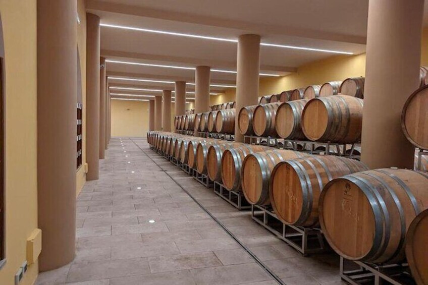 Montepulciano noble wines tour in Tuscany from Rome