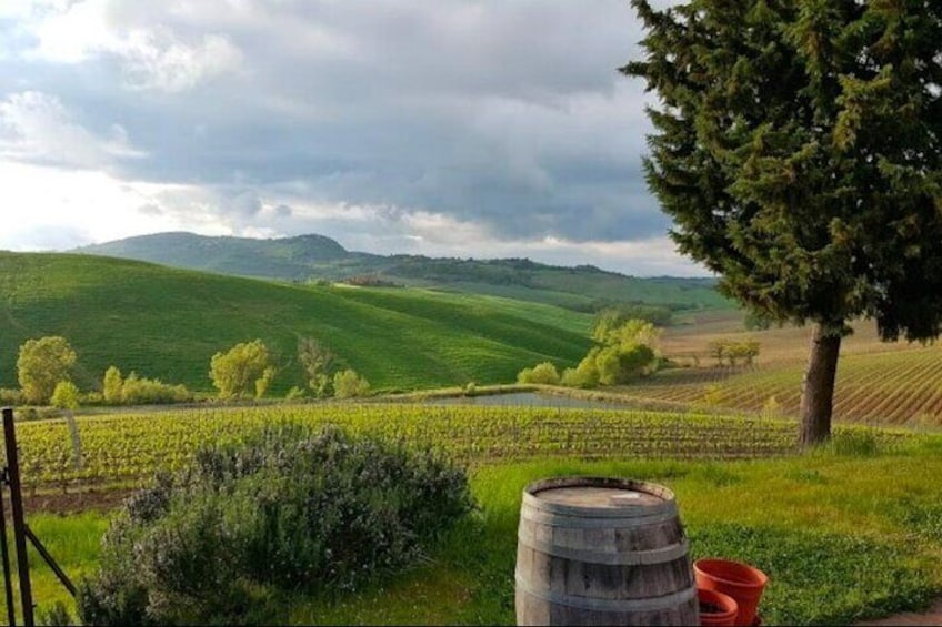 Montepulciano noble wines tour in Tuscany from Rome