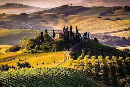 Montepulciano noble wines tour in Tuscany from Rome