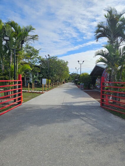 Miami ATV Xperience: Ride Day & Night, FREE Passengers, Pictures & Videos