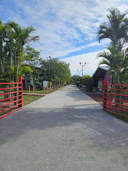 Miami ATV Xperience: Ride Day & Night, FREE Passengers, Pictures & Videos