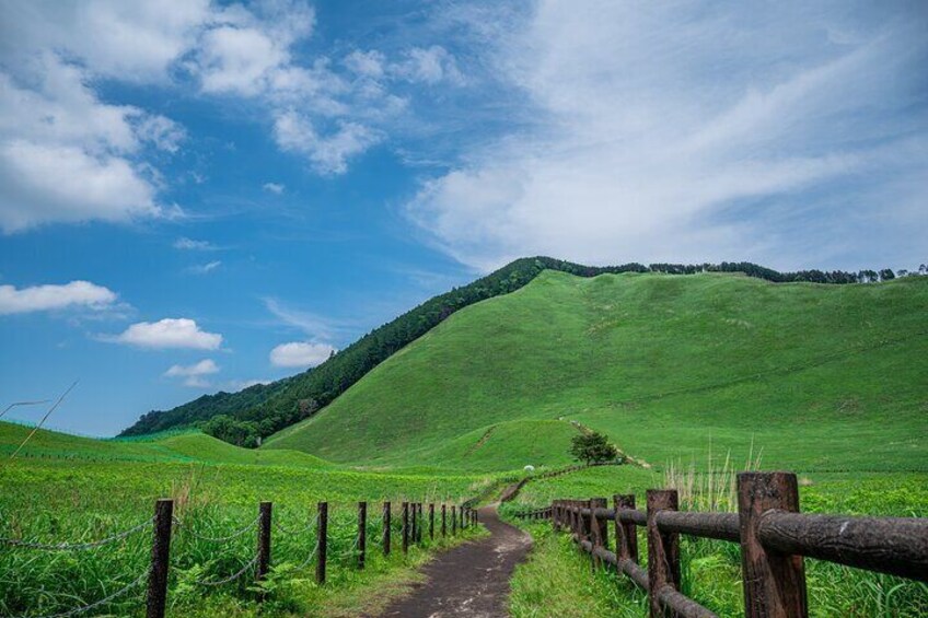 Soni Highlands Eco Adventure and Giant Salamanders From Nagoya 