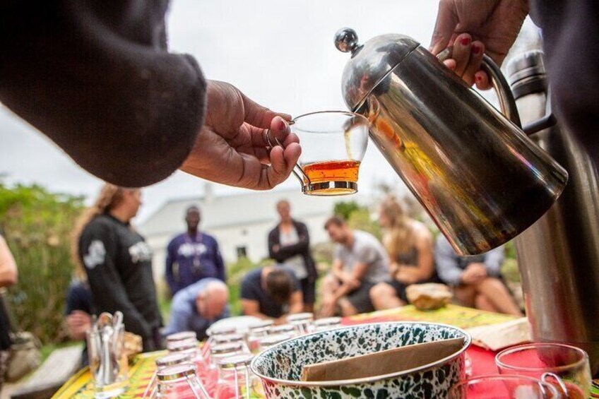 Fynbos tea experiences at Khwa Ttu