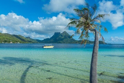 Half a day to discover Bora Bora.