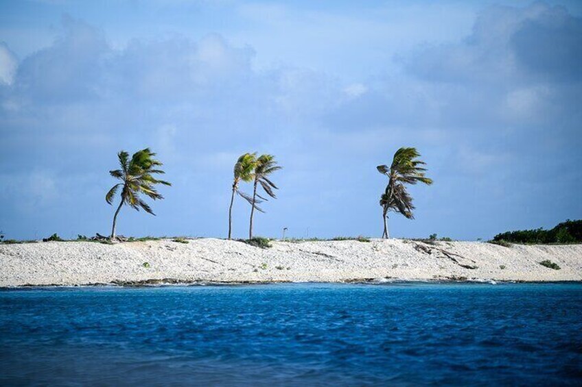 4hour Individual Island Tour for 1 to 12 persons