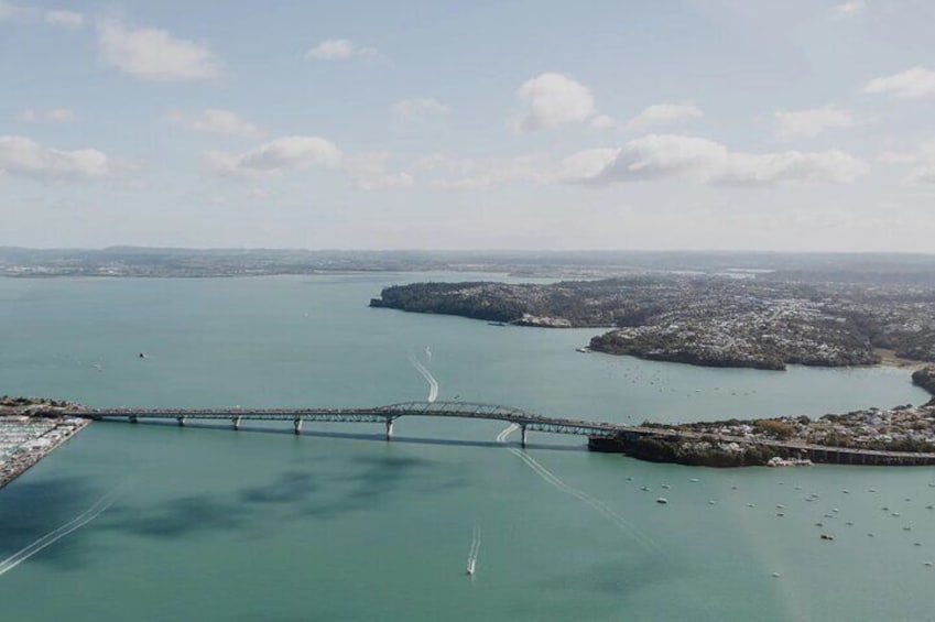 Private Day Tour of Auckland Helicopter Flight Skiing and JetBoat