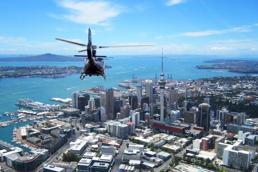 Private Day Tour of Auckland Helicopter Flight Skiing and JetBoat