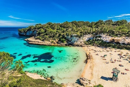 "Best Beaches Mallorca Experience with Guide, SUP, and Snorkel"