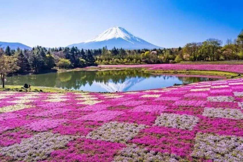 Mount Fuji and Hakone Private Tour by Car with Pickup from Tokyo