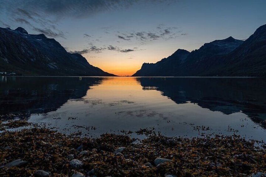 Midnight fjord tour