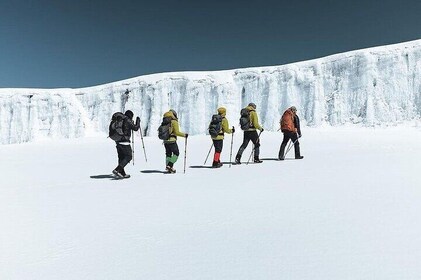 One Day Hike from Kilimanjaro to Mandara