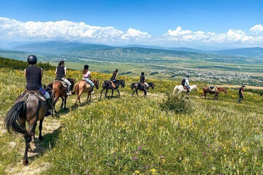 1 Day Horse Riding Tour at Palomino Ranch